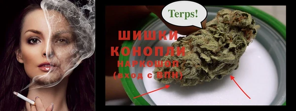 дживик Надым