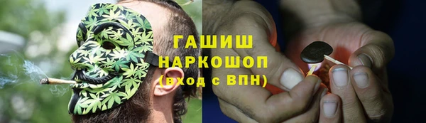 дживик Надым