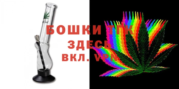 дживик Надым