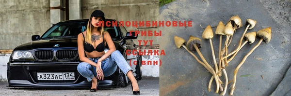 дживик Надым