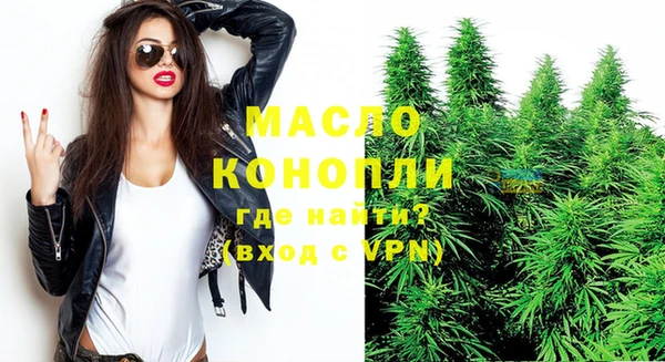 дживик Надым