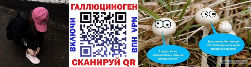 купить цена Ялуторовск Галлюциногенные грибы MAGIC MUSHROOMS