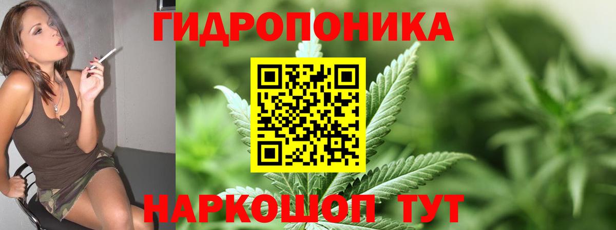 Бошки марихуана ГИДРОПОН Ялуторовск